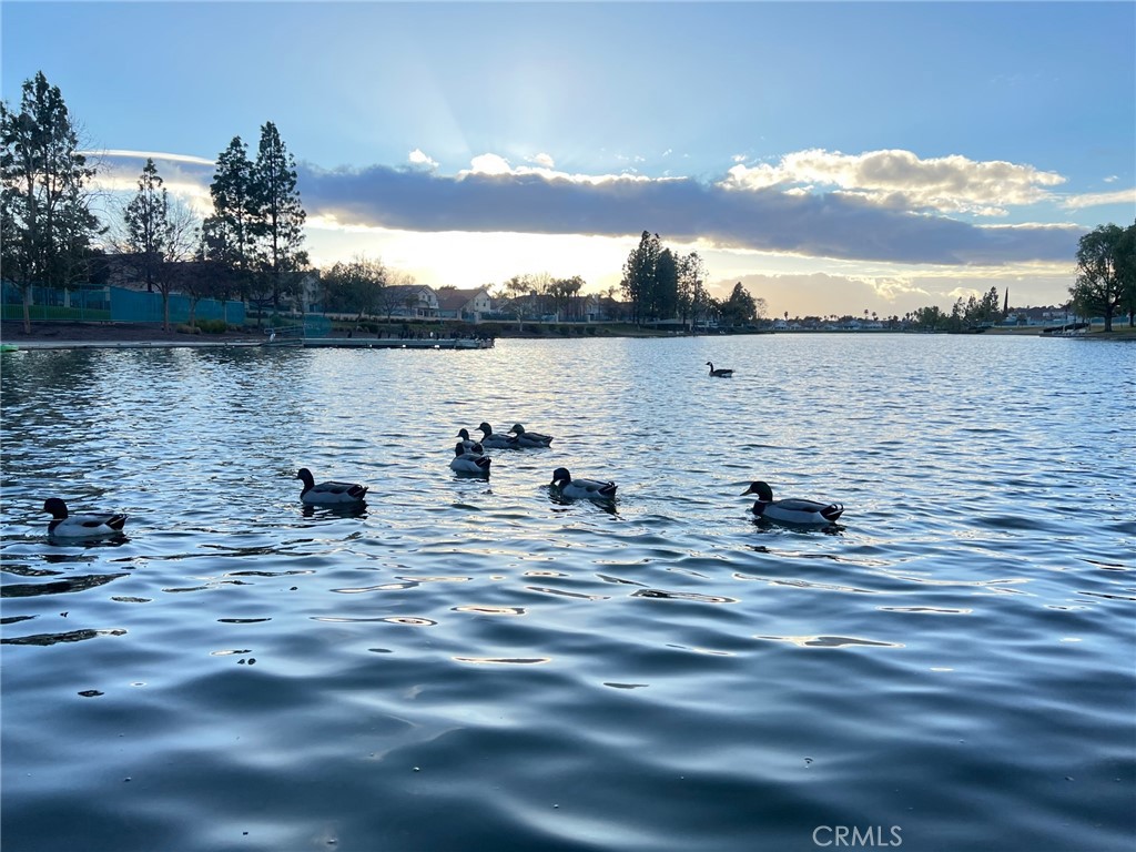 30665 Spring Deep Terrace Menifee, CA 92584 - Photo 62 of 71