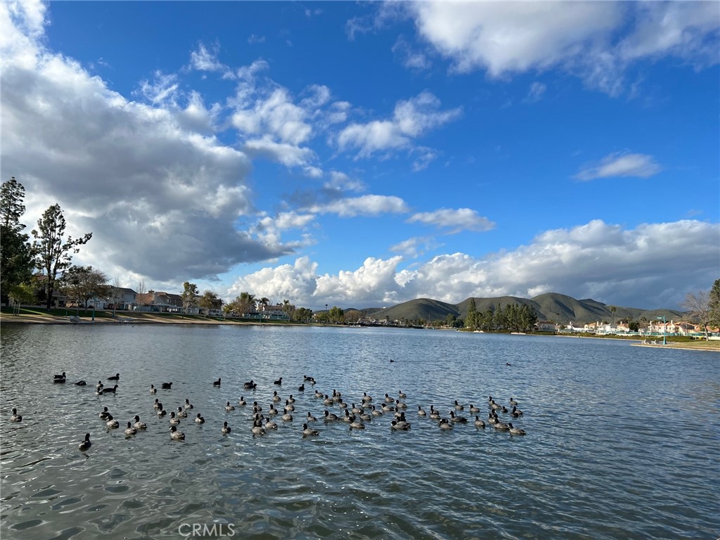 30665 Spring Deep Terrace Menifee, CA 92584 - Photo 71 of 71