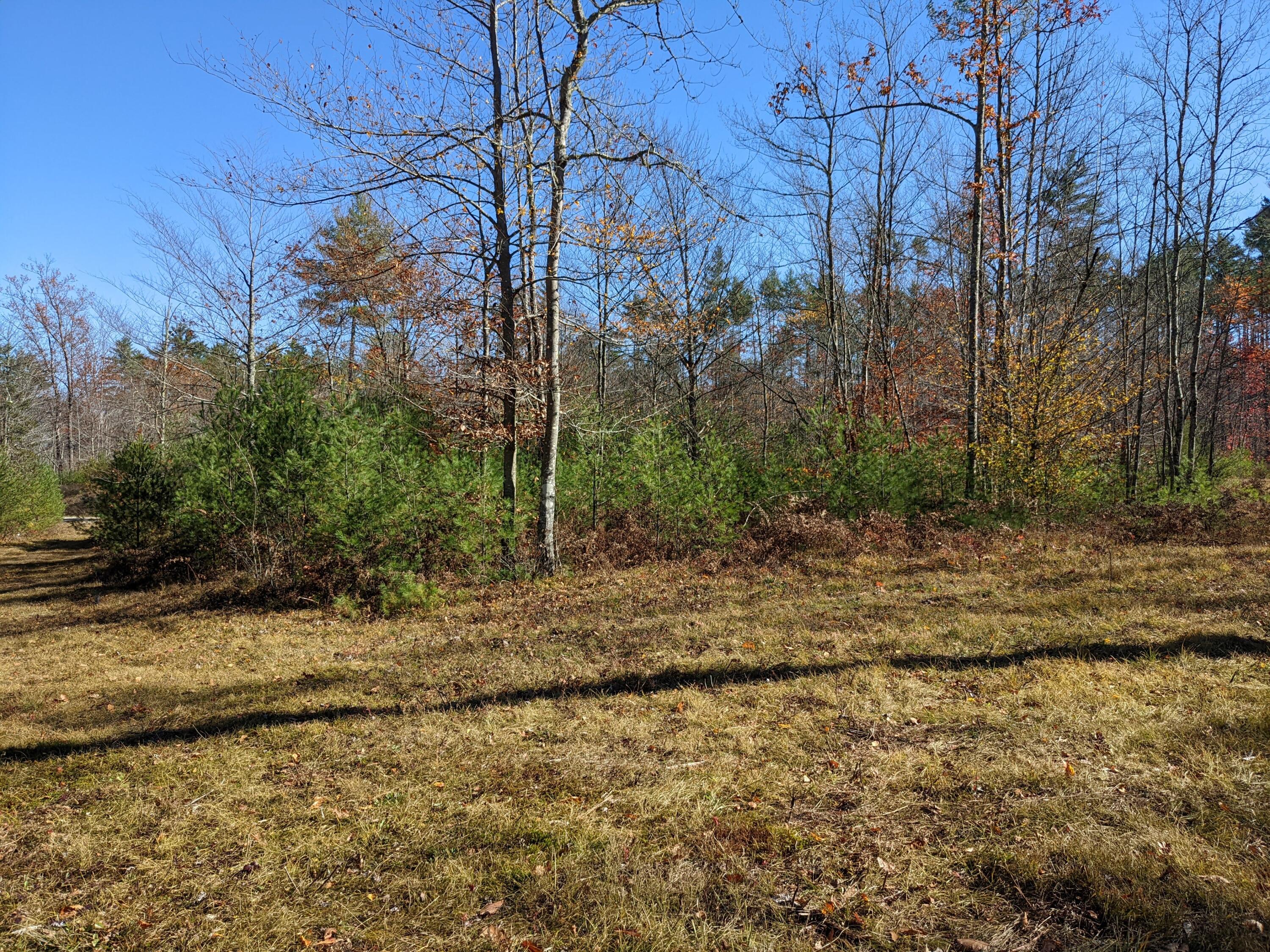 Lot # Highland Park Road Fryeburg, ME 04037 - Photo 5 of 15 On lot C, Lot D to far right