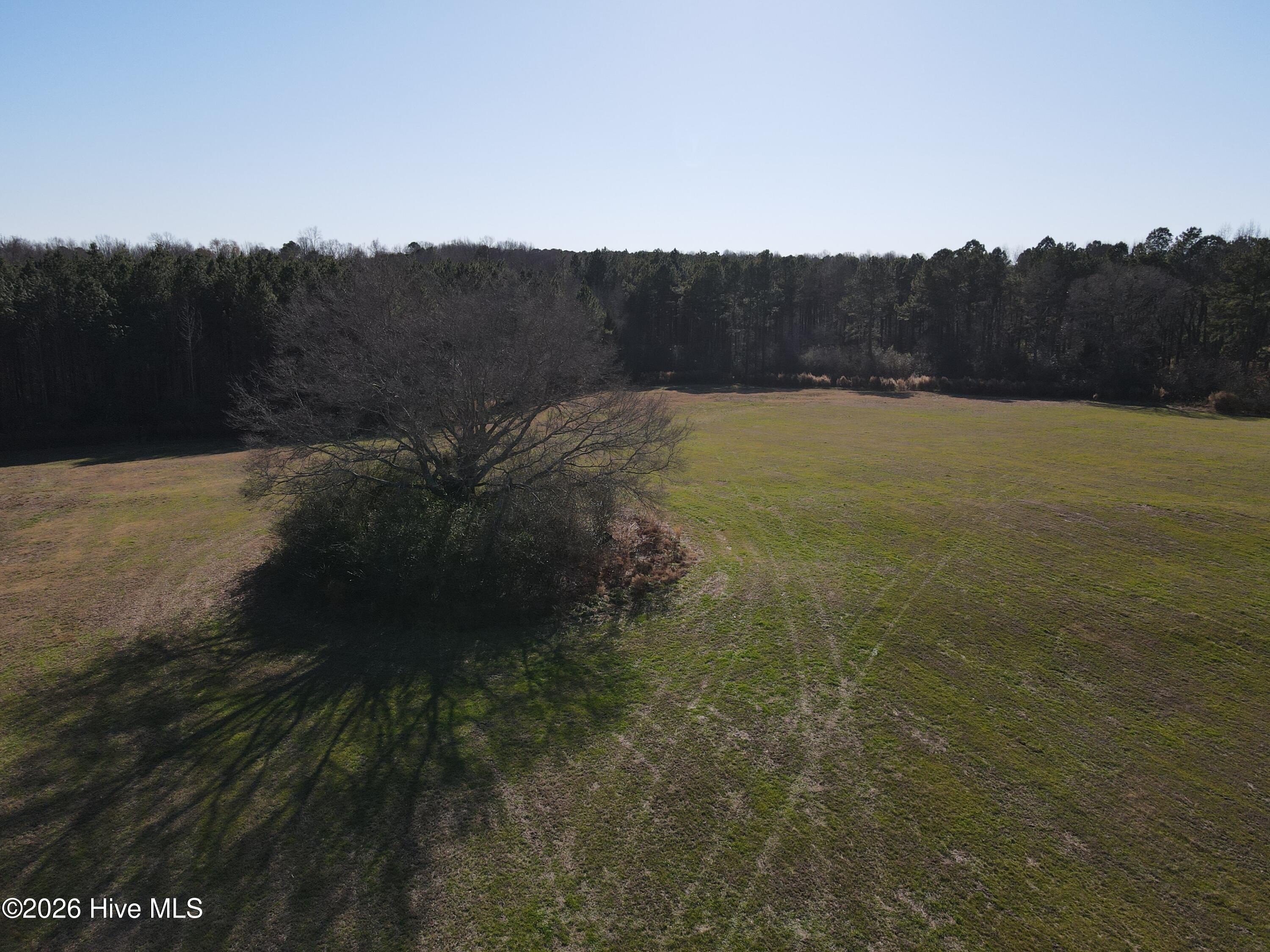 0 Sykes Road Nashville, NC 27856 - Photo 12 of 69 SR MLS 12