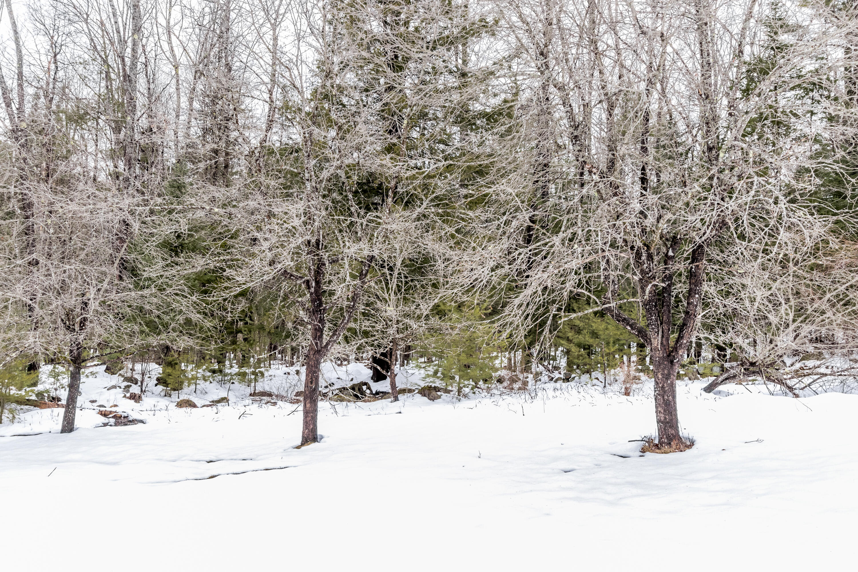 82 Harrison Road Norway, ME 04268 - Photo 52 of 53 20240329AD -71068