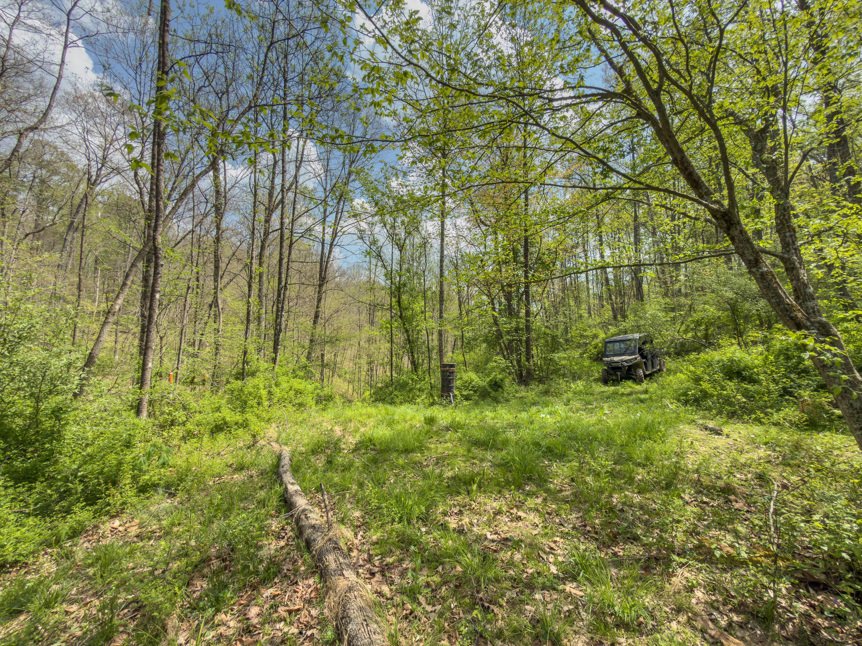 0 Beardmore Road Wingett Run, OH 45789 - Photo 28 of 43 beardmore rd-28