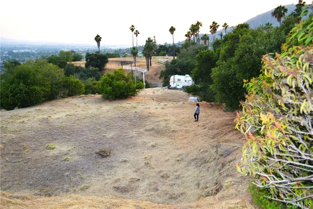a group of people playing in a yard