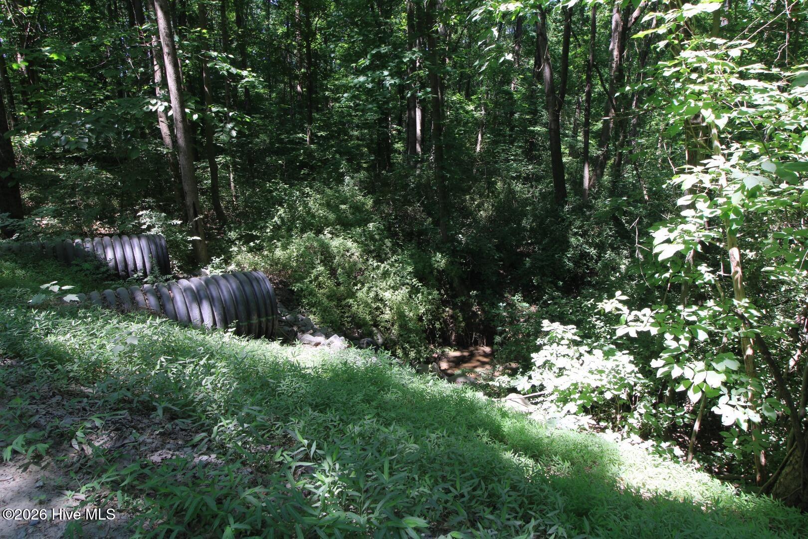 10466 Moores Chapel Road Charlotte, NC 28214 - Photo 50 of 50 Ground Water Runoff Creek 2