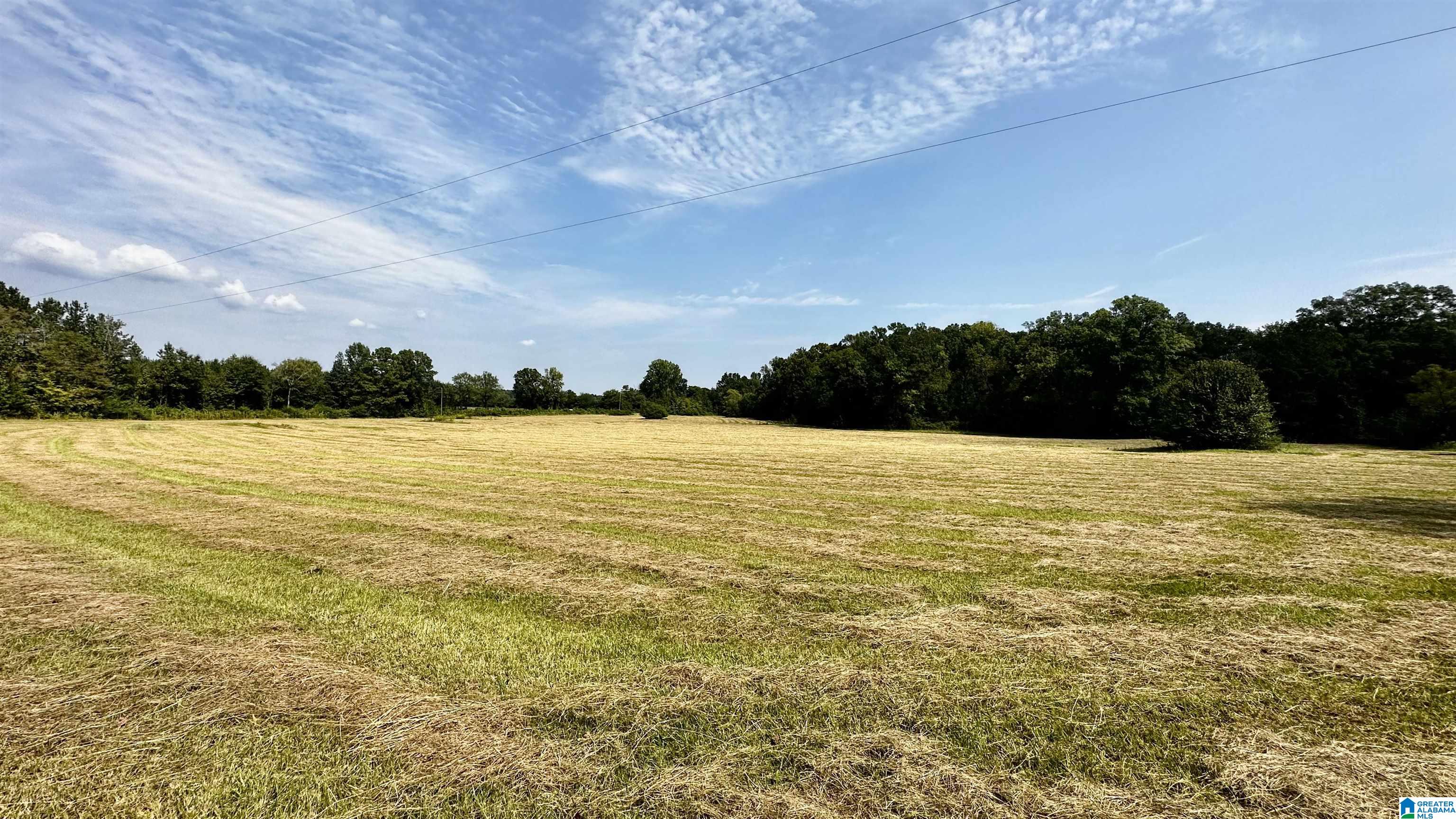 0 Rock School Road Harpersville, AL 35078 - Photo 2 of 15