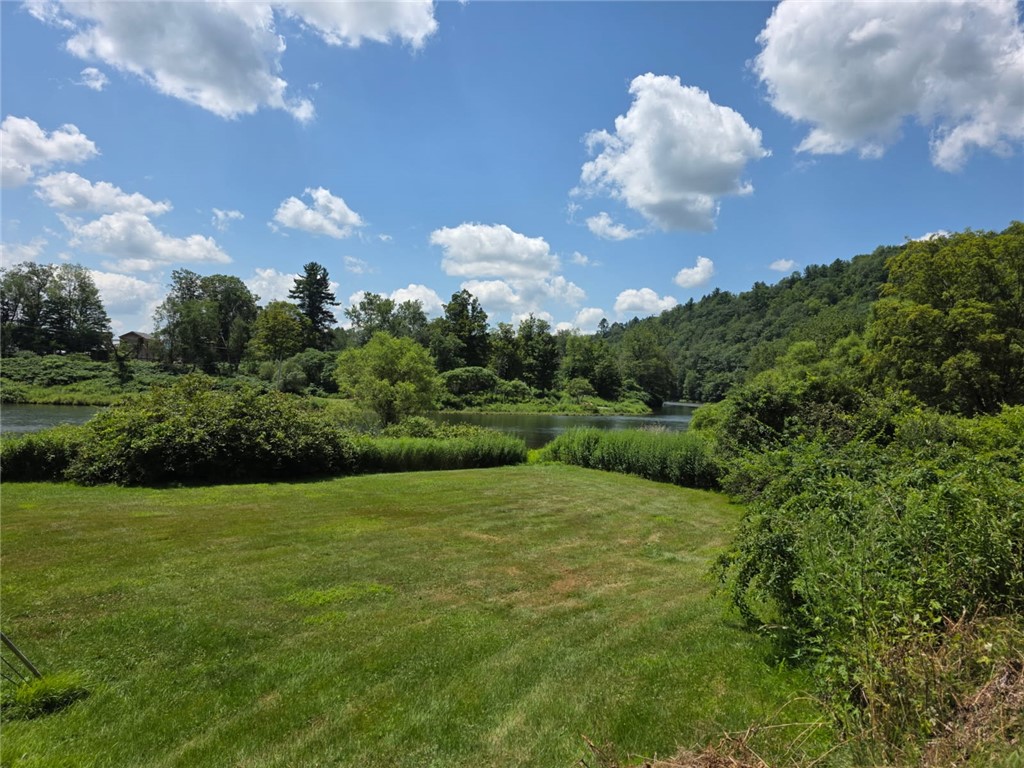 971 Dug Road Deposit, NY 13754 - Photo 12 of 49