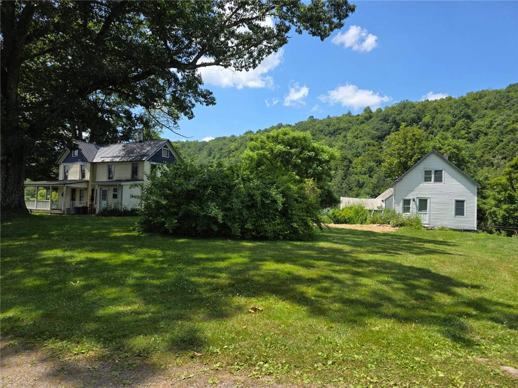 971 Dug Road Deposit, NY 13754 - Photo 6 of 49