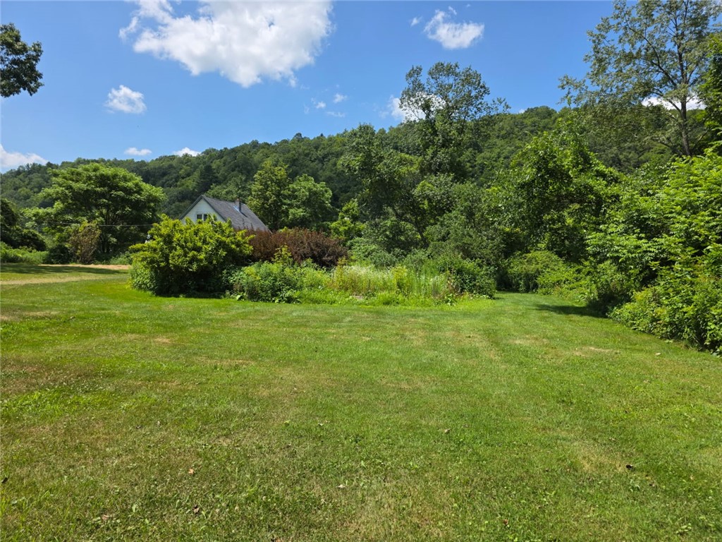 971 Dug Road Deposit, NY 13754 - Photo 8 of 49