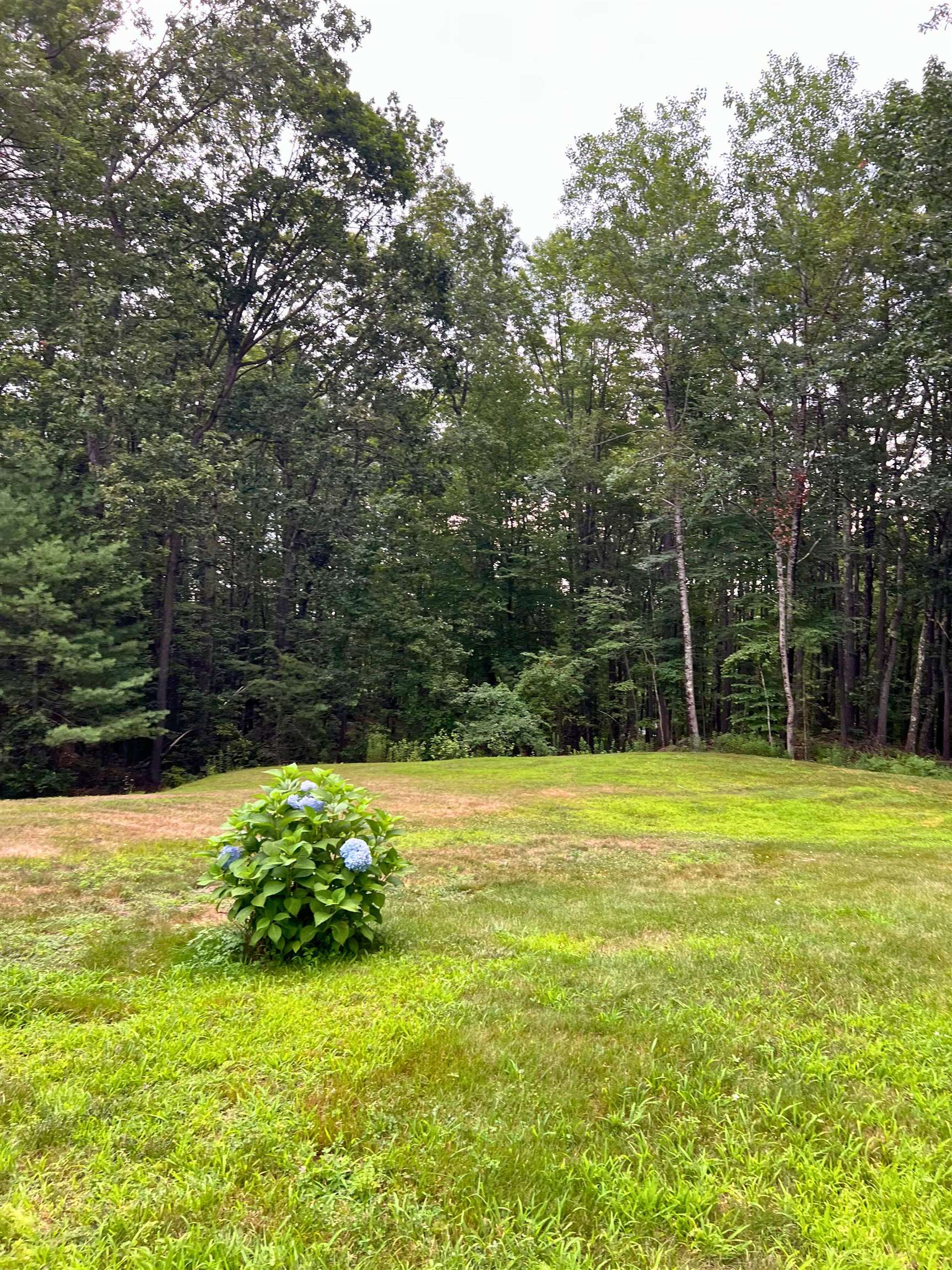 7 Hamilton Way, Unit LOT 2 Bedford, NH 03110 - Photo 3 of 4