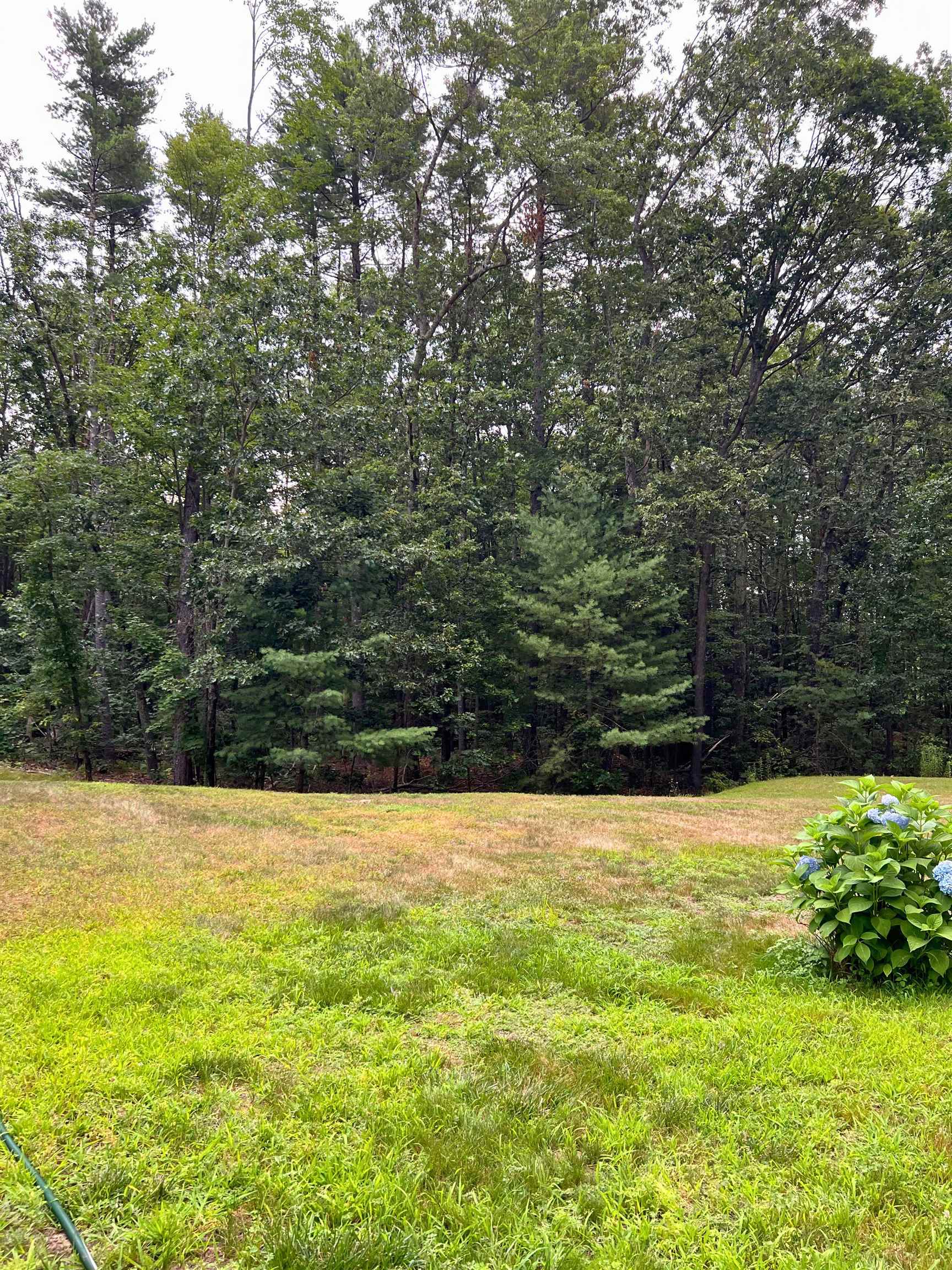 7 Hamilton Way, Unit LOT 2 Bedford, NH 03110 - Photo 4 of 4