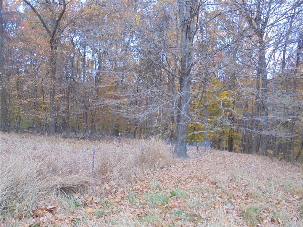 9745 Berry Ridge Road Freetown, IN 47235 - Photo 6 of 8