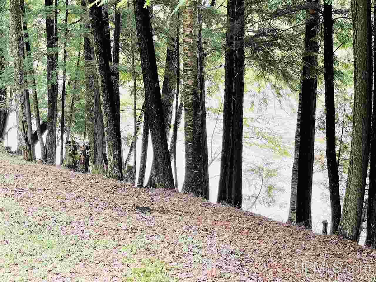 4182 12th Road Escanaba, MI 49829 - Photo 6 of 49