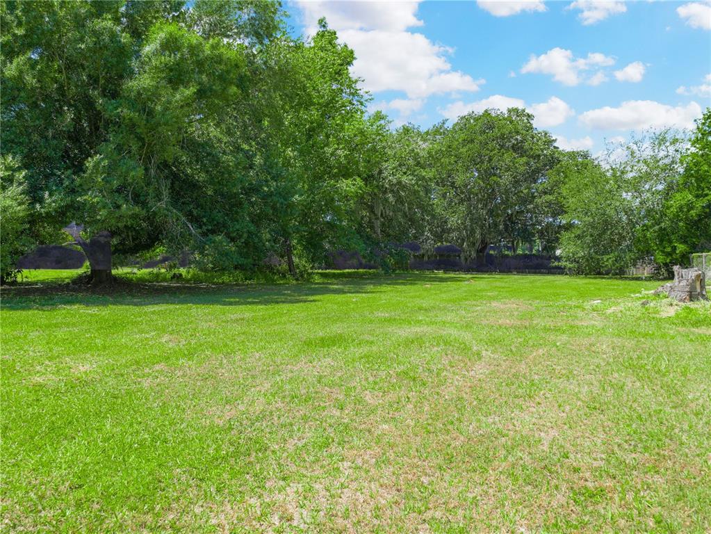 Lanier Avenue Fort Meade, FL 33841 - Photo 4 of 22 a view of a field of grass and trees