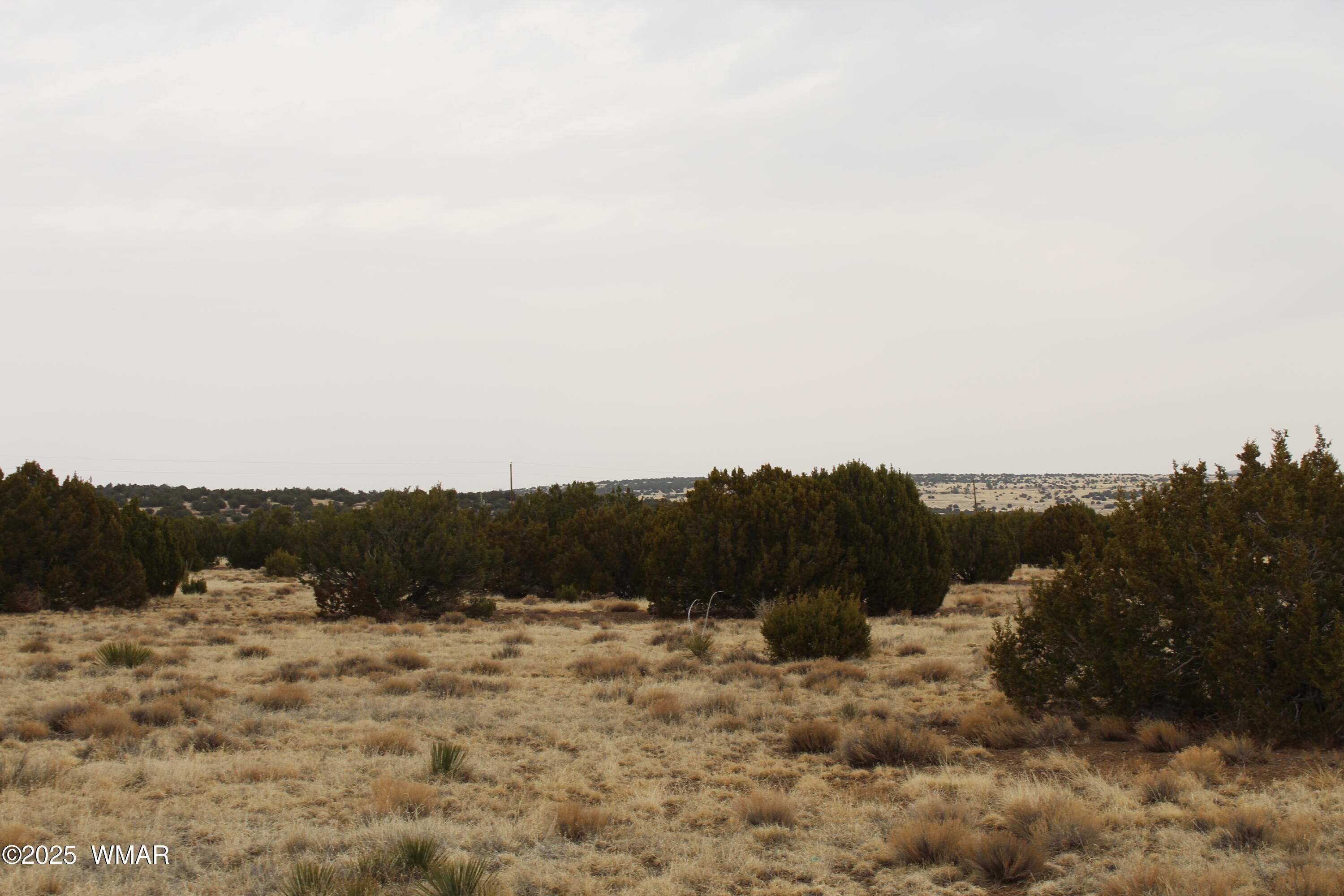 21 County Road Concho, AZ 85924 - Photo 7 of 22 a view of a dry yard