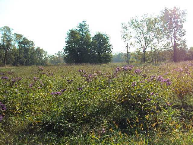 5481 York Road Southwest Pataskala, OH 43062 - Photo 3 of 4