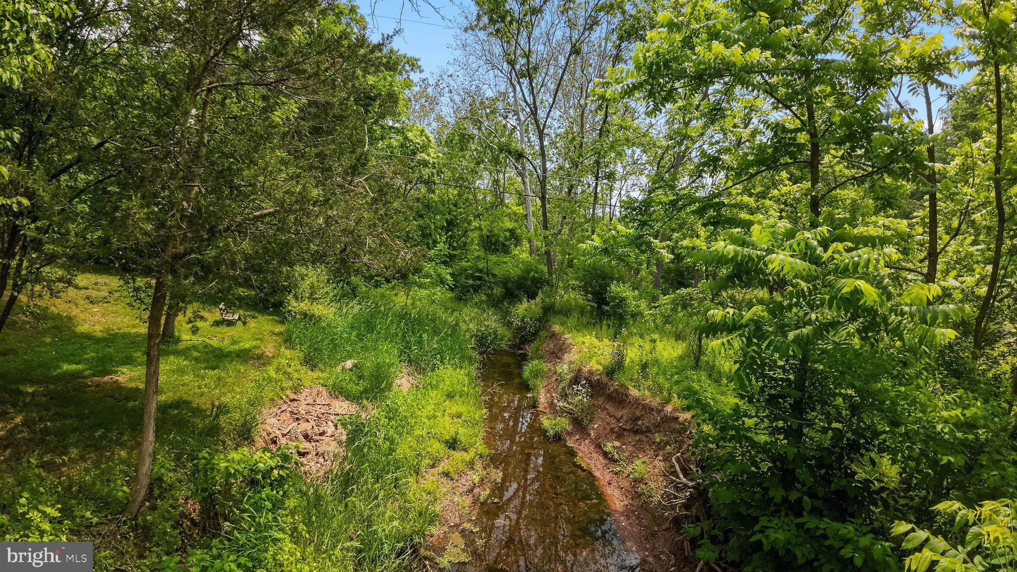 581 Monocacy Hill Road Birdsboro, PA 19508 - Photo 1 of 11 a view of a lush green forest with large trees