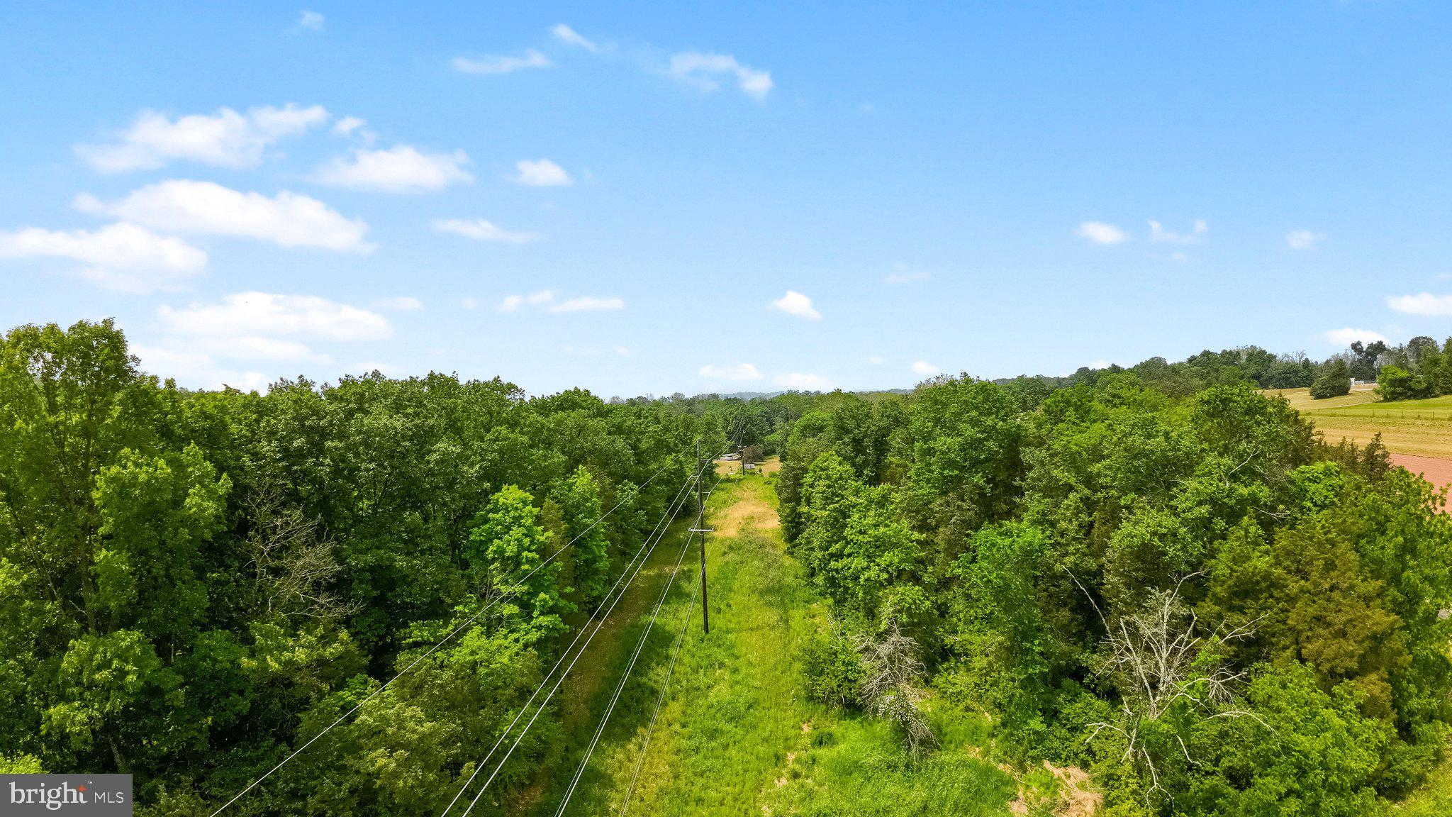581 Monocacy Hill Road Birdsboro, PA 19508 - Photo 9 of 11 a view of a lush green space