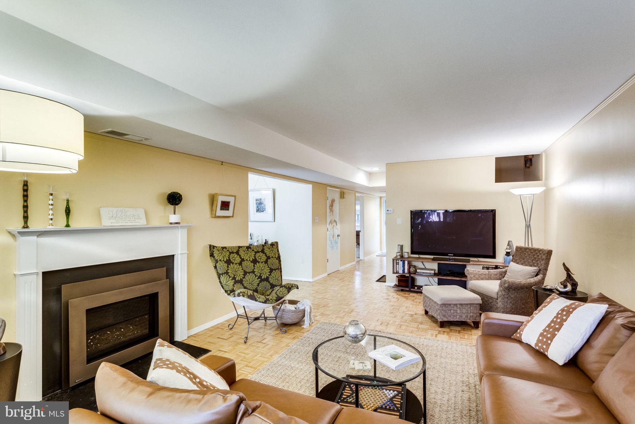11514 Links Drive Reston, VA 20190 - Photo 13 of 30 Contemporary Glass Chip Gas Fireplace