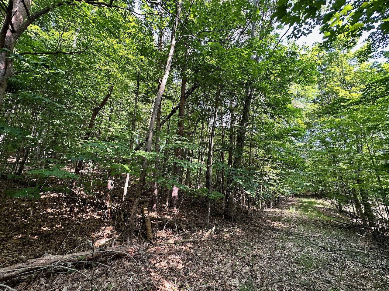 0 John R Rodgers Road Bellaire, MI 49615 - Photo 18 of 25