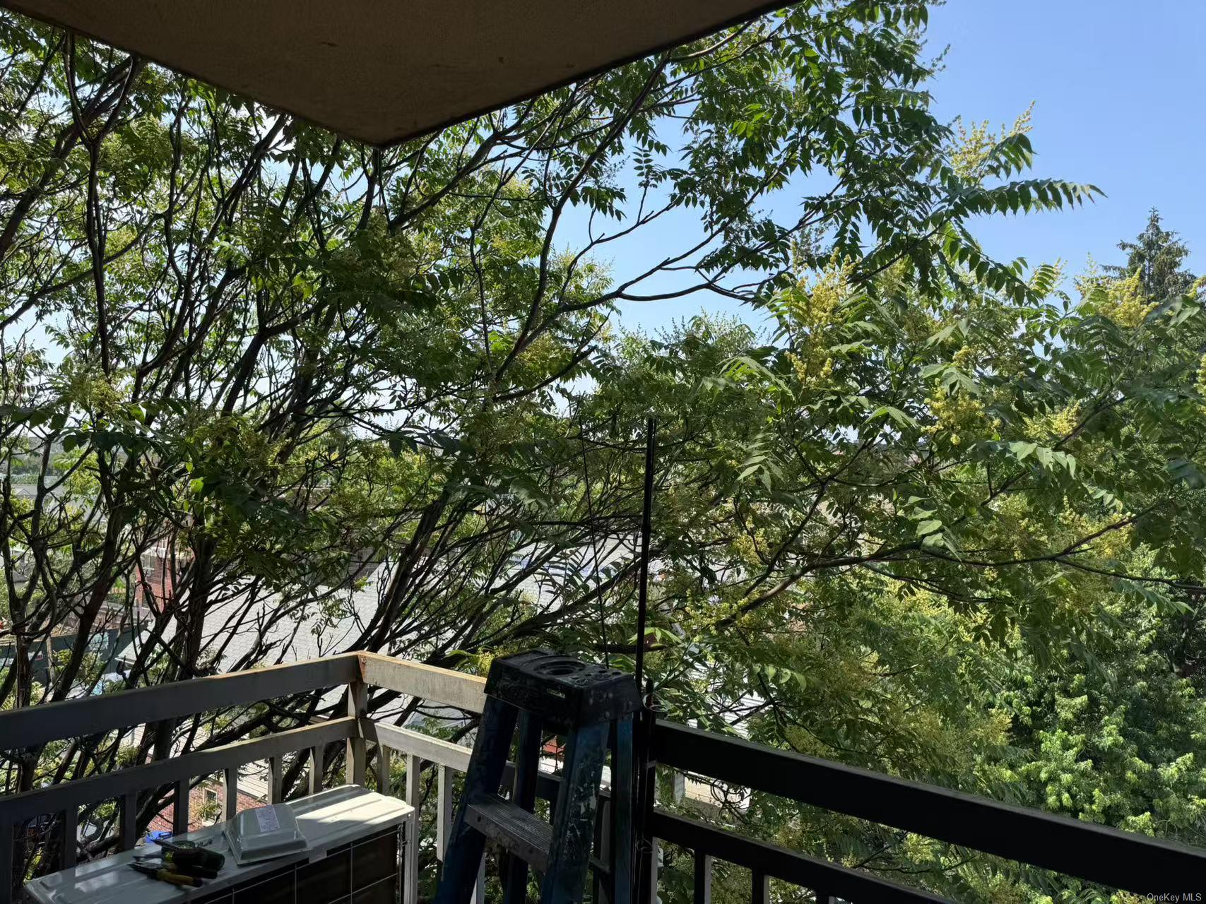 84-09 Queens Boulevard, Unit 4B Queens, NY 11373 - Photo 2 of 9