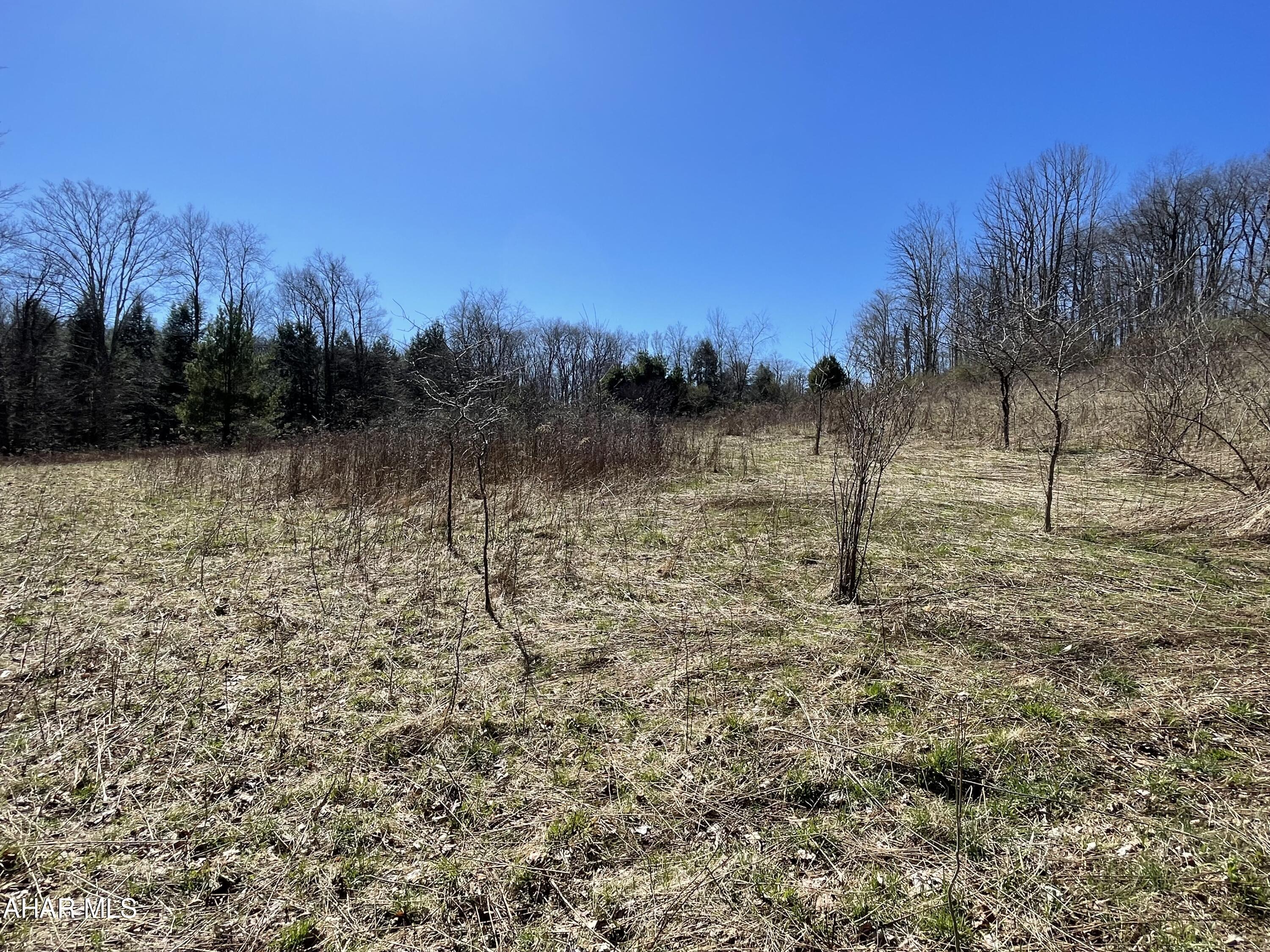 . Brick Road Ebensburg, PA 15931 - Photo 15 of 20