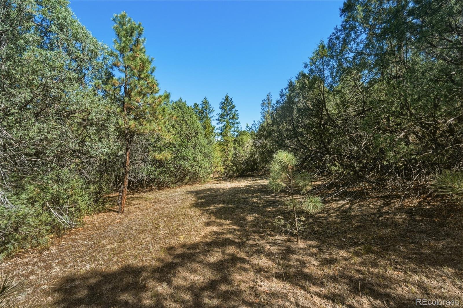 93 Blackhawk Ranch Walsenburg, CO 81089 - Photo 28 of 44
