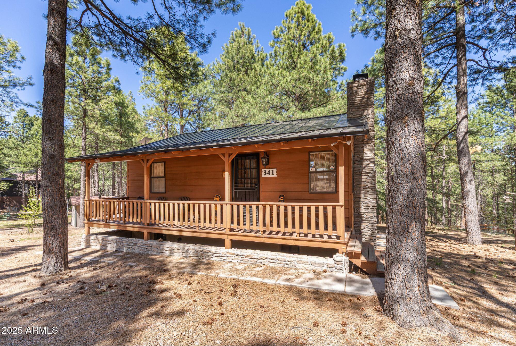 341 Pinto Road Forest Lakes, AZ 85931 - Photo 2 of 36