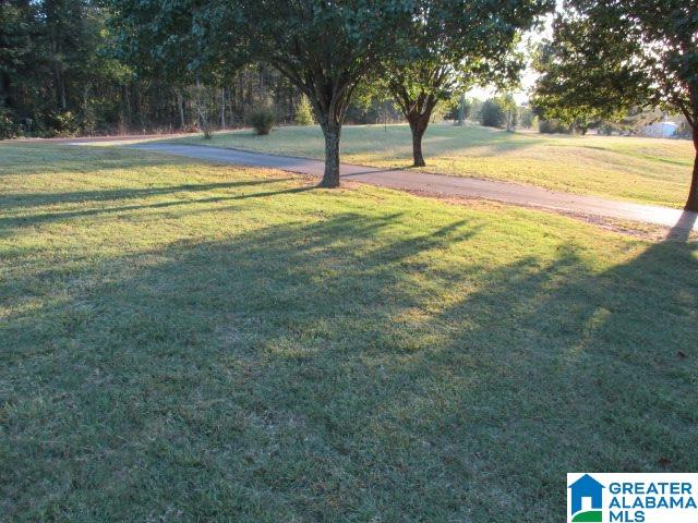 4153 Airport Road Altoona, AL 35952 - Photo 5 of 16