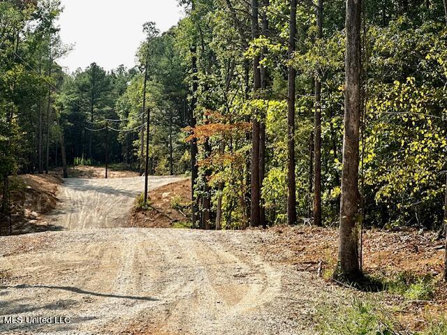 13999 Davenport Road Byhalia, MS 38611 - Photo 2 of 7 IMG_5255