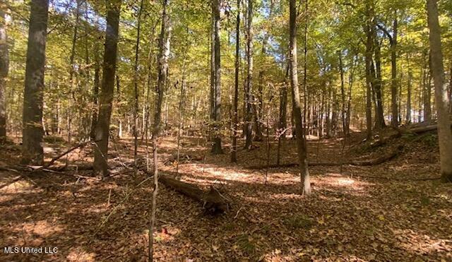 13999 Davenport Road Byhalia, MS 38611 - Photo 5 of 7 IMG_1459