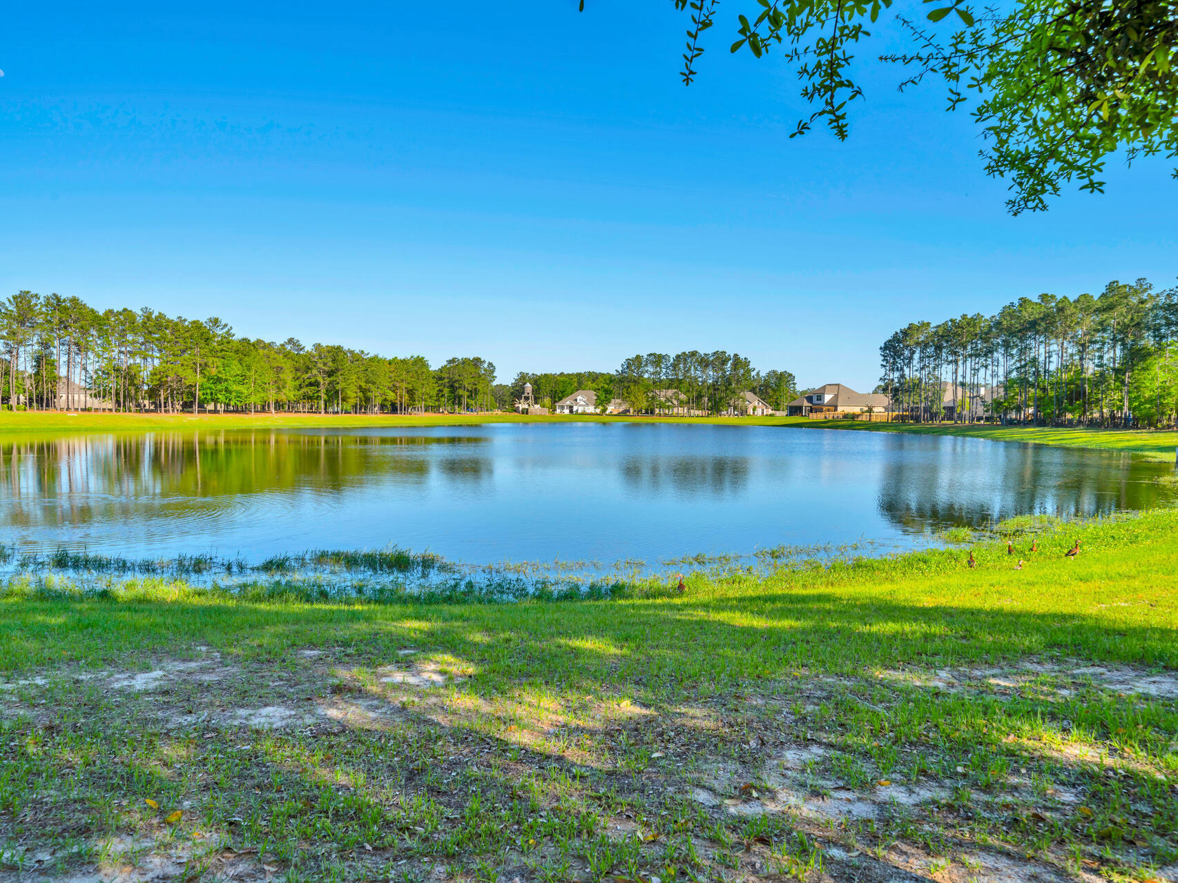 310 Mill Pond Cove Freeport, FL 32439 - Photo 37 of 49 a view of a lake with houses in the back