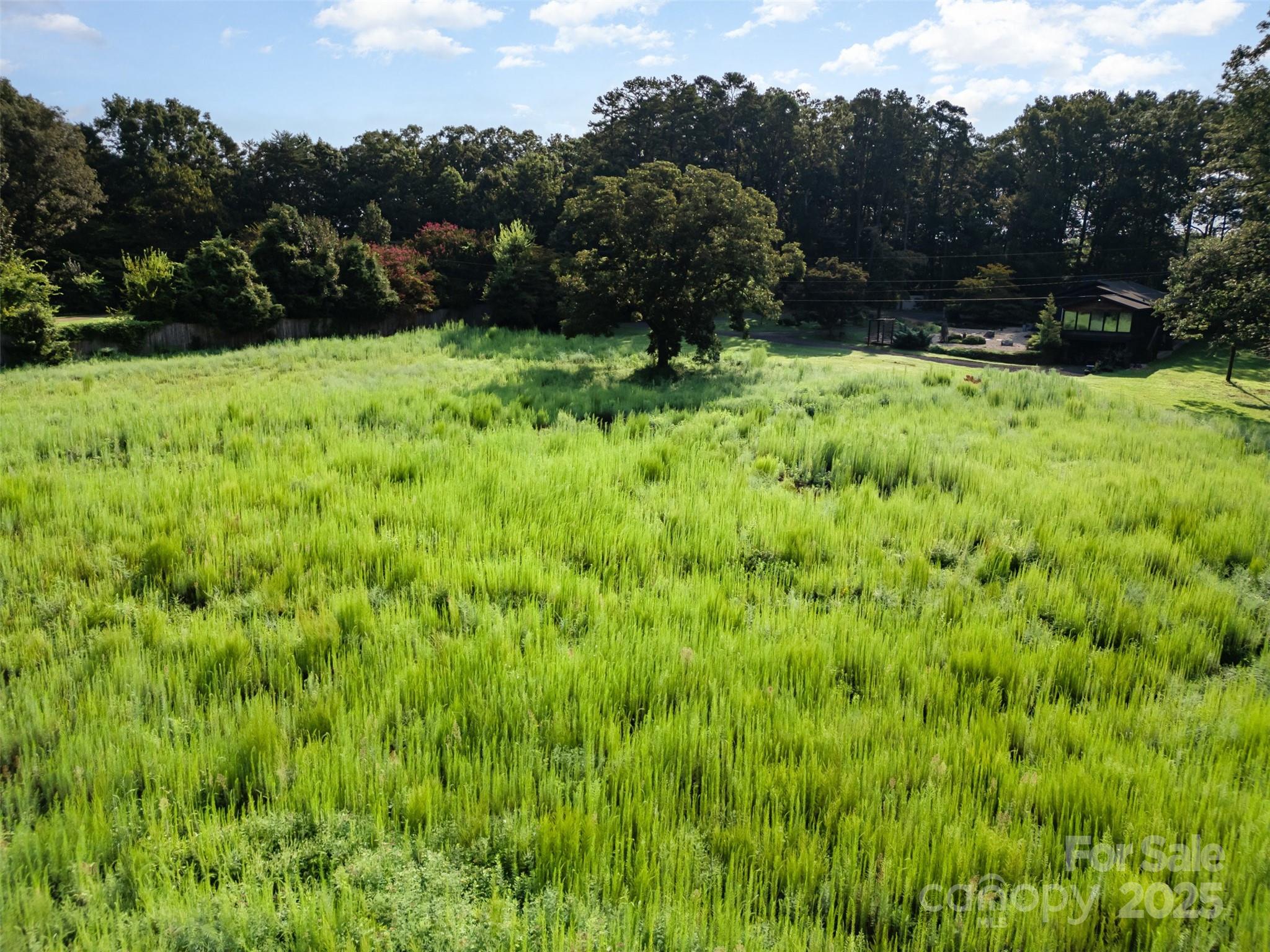 1932 Slater Road Charlotte, NC 28216 - Photo 11 of 19