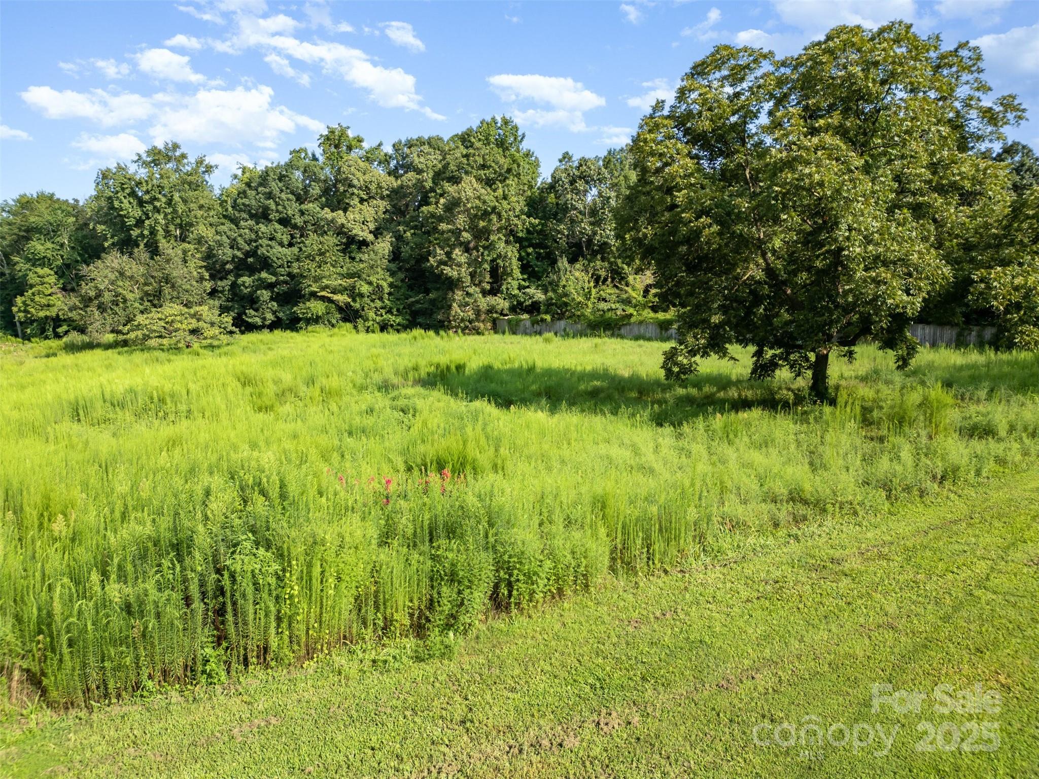 1932 Slater Road Charlotte, NC 28216 - Photo 13 of 19
