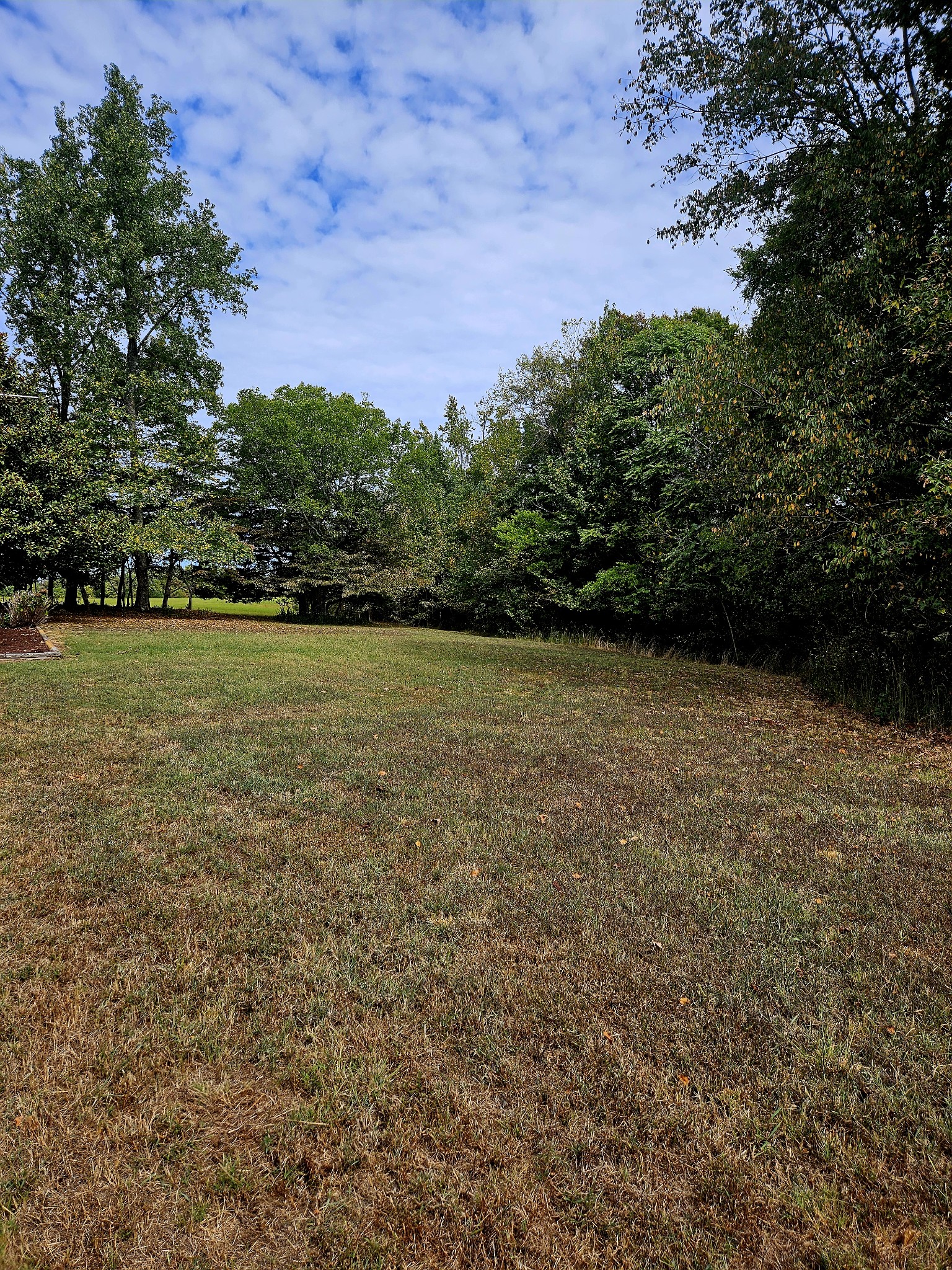 420 Carroll Ridge Road Pulaski, TN 38478 - Photo 32 of 35 Gallery Image 32