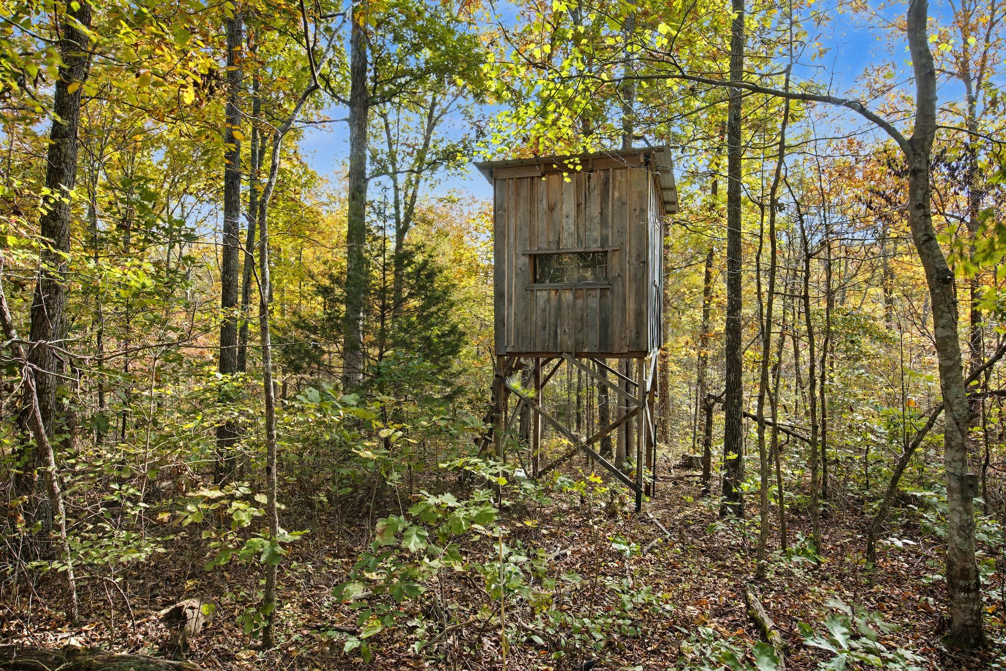 10878 Highway 7 Primm Springs, TN 38476 - Photo 15 of 37