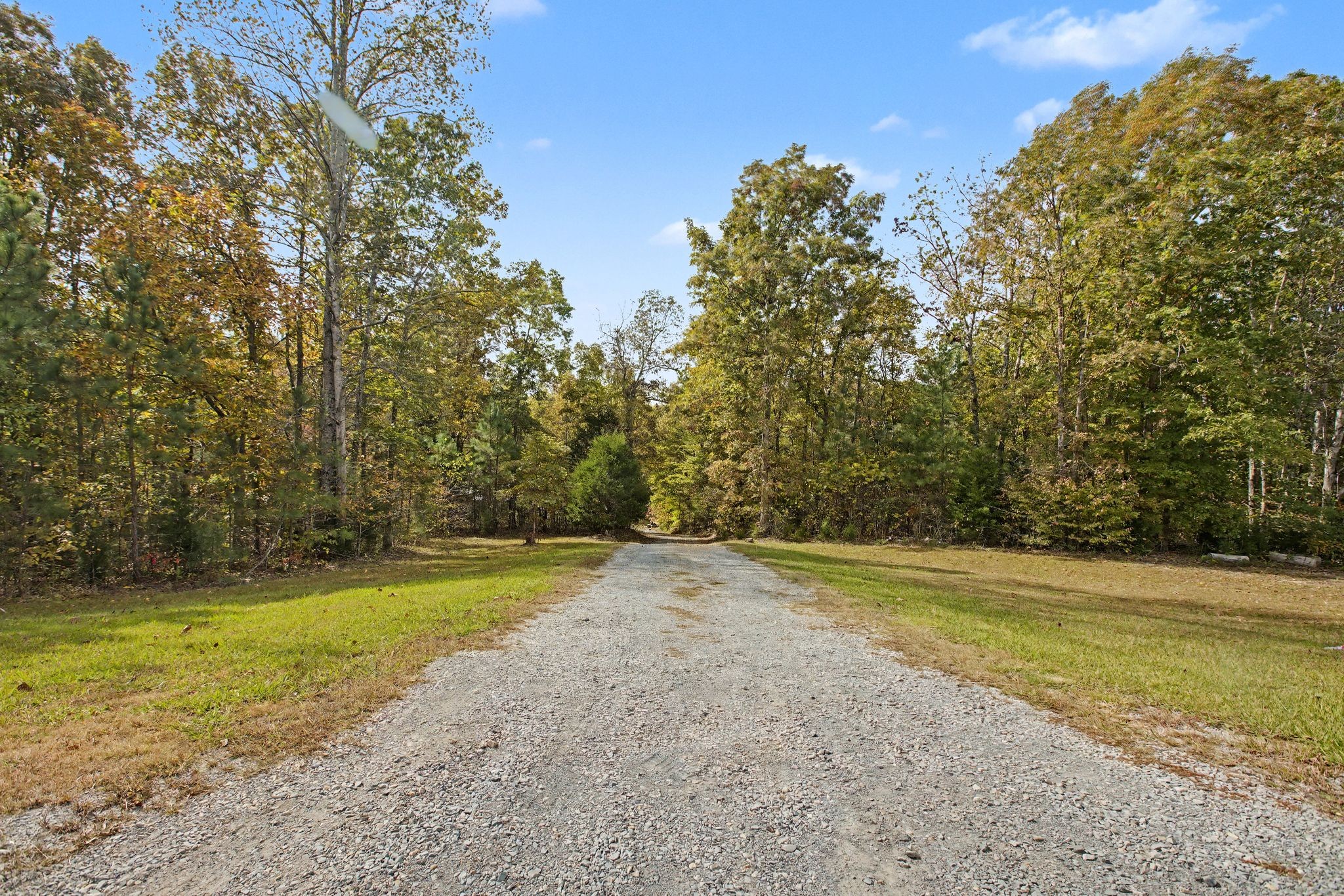 10878 Highway 7 Primm Springs, TN 38476 - Photo 3 of 37 a view of a swimming pool with a yard and large trees