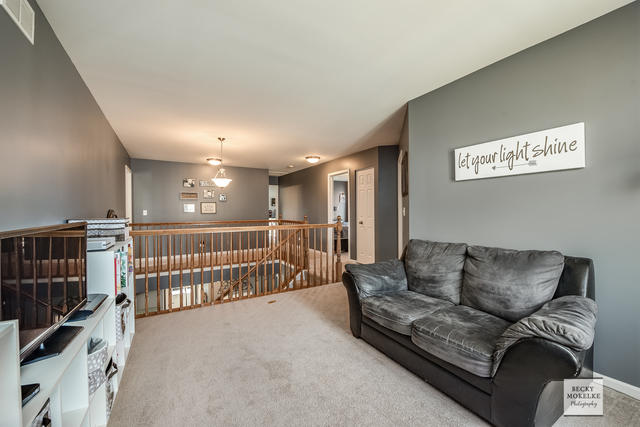 3035 Patterson Road Montgomery, IL 60538 - Photo 16 of 29