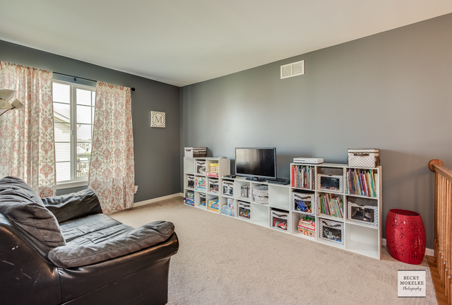 3035 Patterson Road Montgomery, IL 60538 - Photo 19 of 29