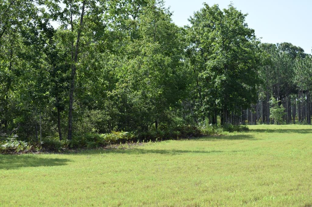 Lot 1 Centerwood Road Windsor, SC 29856 - Photo 4 of 8
