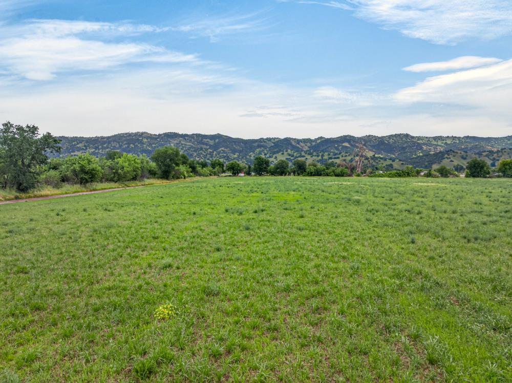 0 Forest Avenue Brooks, CA 95606 - Photo 18 of 19 a view of an outdoor space and a yard