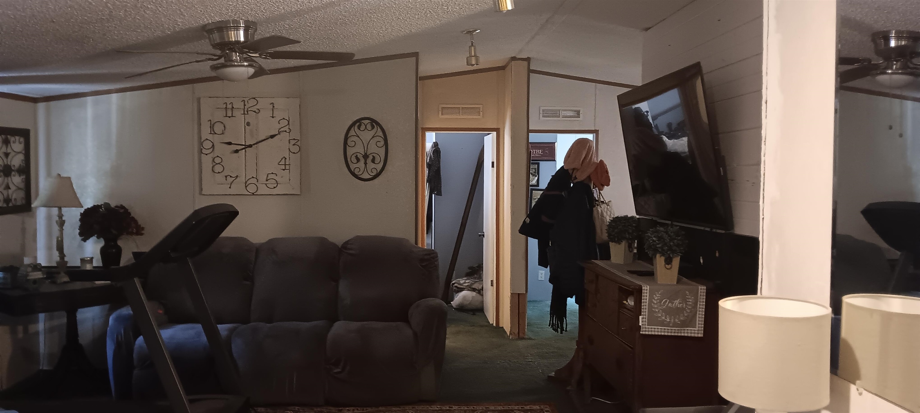 100 Academy Road Pulaski, TN 38478 - Photo 10 of 31 Carpeted living room featuring a ceiling fan, a textured ceiling, and lofted ceiling