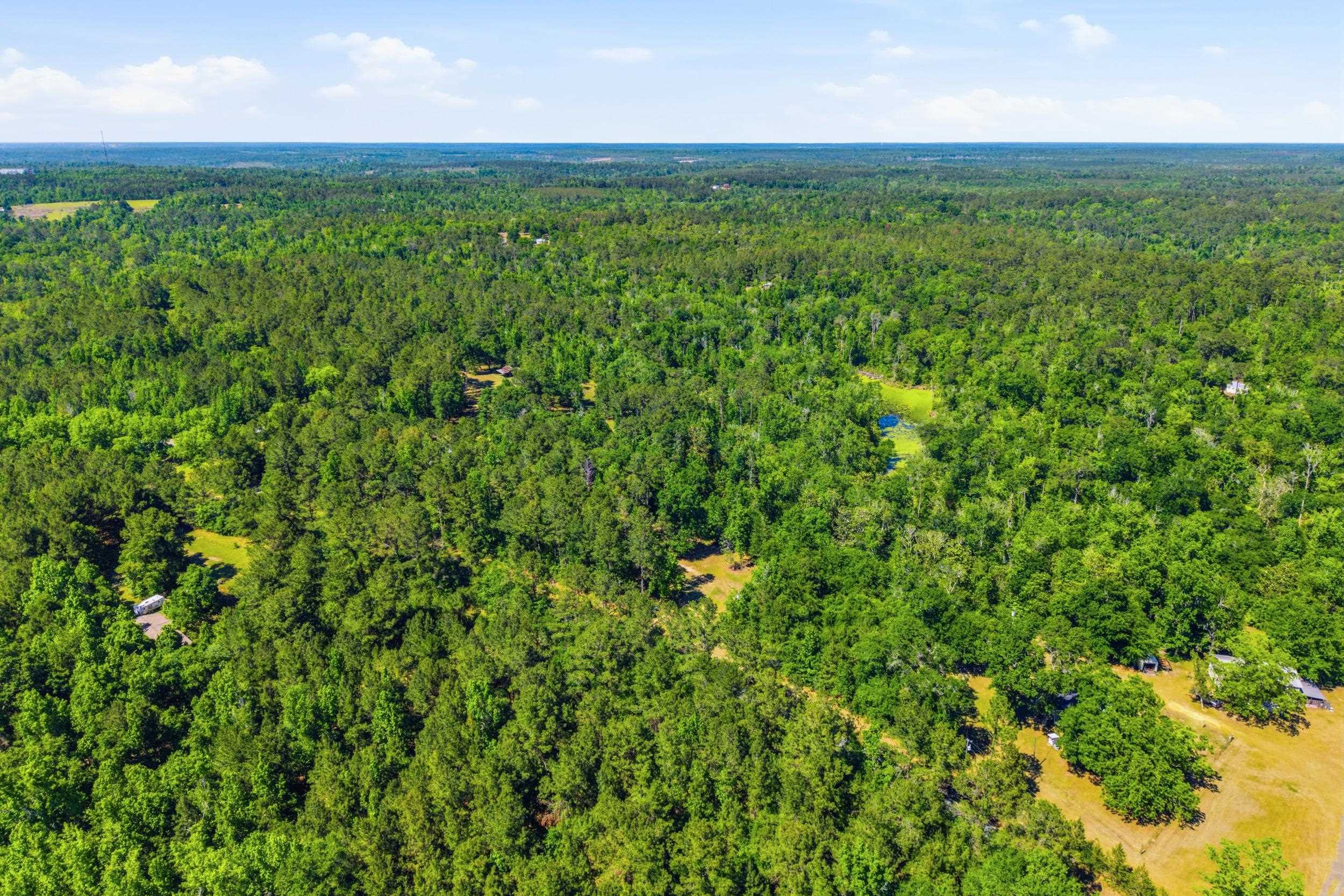 210 Winding Creek Road Quincy, FL 32351 - Photo 39 of 53