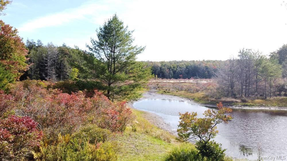 Seeman Road Neversink, NY 12765 - Photo 1 of 12 Gallery Image 1