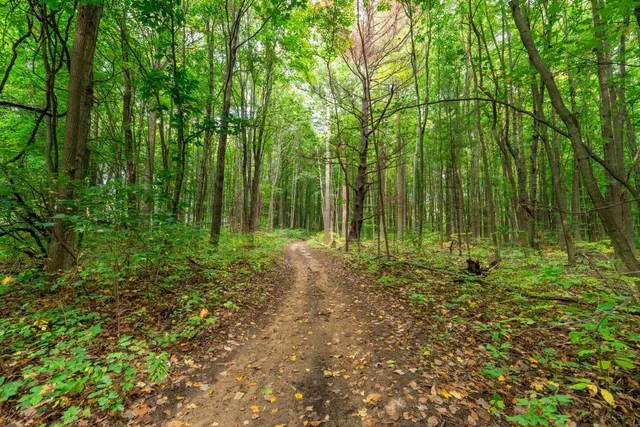 $659,000 | 5916 Preservation Drive, Hamilton, MI 49419