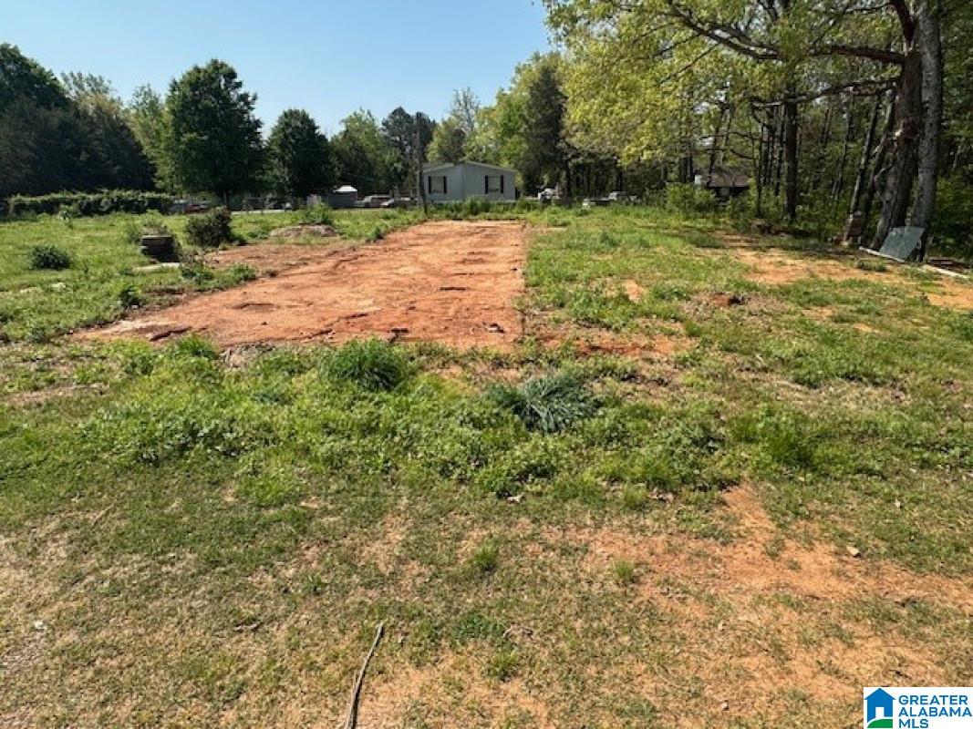 270 Double Oak Road Warrior, AL 35180 - Photo 4 of 5