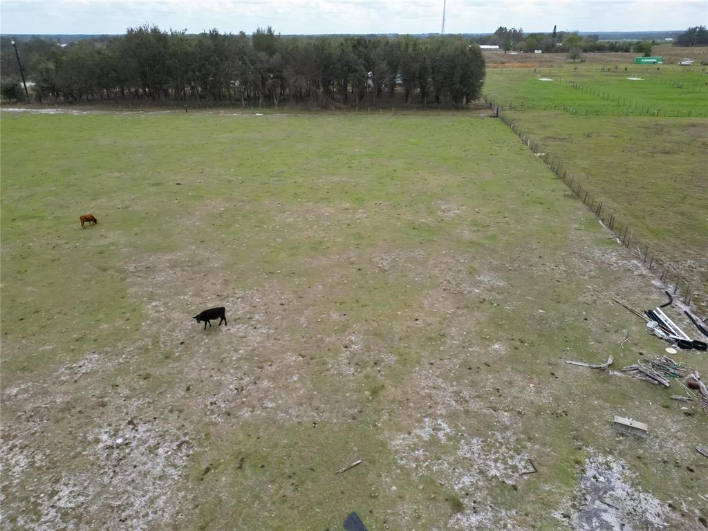 17273 Alderman Turner Road Wimauma, FL 33598 - Photo 24 of 60