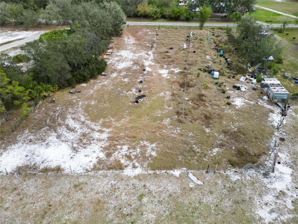 17273 Alderman Turner Road Wimauma, FL 33598 - Photo 28 of 60 a view of a yard with plants and trees