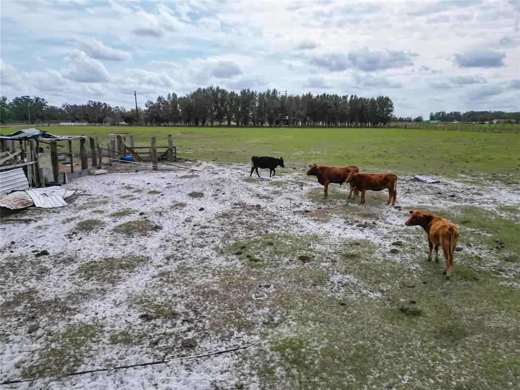 17273 Alderman Turner Road Wimauma, FL 33598 - Photo 34 of 60 a view of a lake with outdoor space