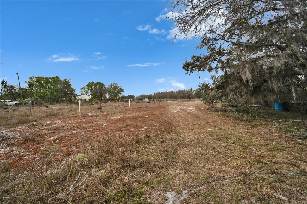 17273 Alderman Turner Road Wimauma, FL 33598 - Photo 56 of 60 a view of a field with an trees