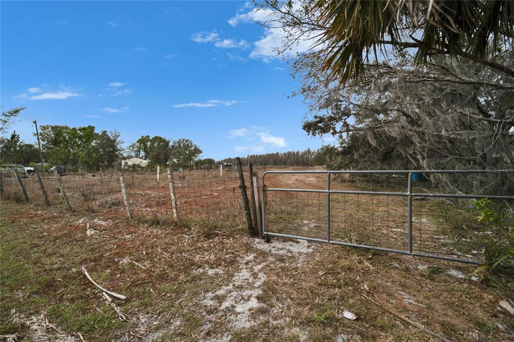 17273 Alderman Turner Road Wimauma, FL 33598 - Photo 57 of 60 a backyard of a house with lots of green space